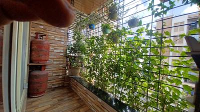 Balcony Image of 640 Sq.ft 1 BHK Apartment / Flat for sale in Crystal Plaza, Ulwe Navi Mumbai for Rs. 5000000