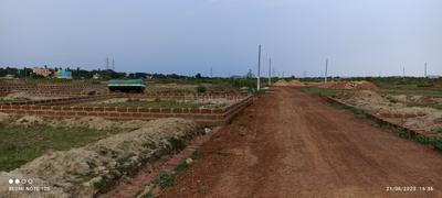 Patrapoda Plot View 3