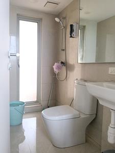 Common Bathroom Image of 300 Sq.ft 1 RK Apartment / Flat for rent in Hiranandani Solitaire C, Hiranandani Estate Thane for Rs. 26000