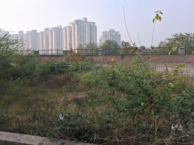 Rwa Sector 151 Plot View 3