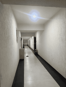 Image of 1000 Sq.ft 2 BHK Apartment / Flat for rent in MVV &amp; MK Park, Kurmannapalem, Visakhapatnam for Rs. 12000