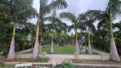 Image of 512 Sq.ft Residential Plot / Land for sale in Daldal Seoni, Raipur for Rs. 1587200
