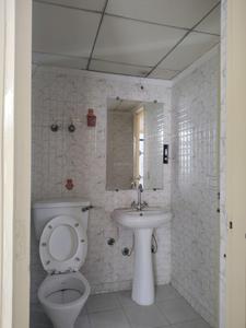 Common Bathroom Image of 1175 Sq.ft 3 BHK Apartment / Flat for sale in Gaurs 14th Avenue, Noida Extension Greater Noida for Rs. 10600000