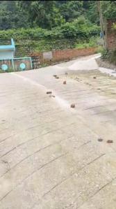 Image of 2076 Sq.ft Residential Plot / Land for sale in Mussoorie Road, Dehradun for Rs. 20970000