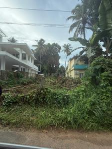 Image of 3920 Sq.ft Residential Plot / Land for sale in Aranattukara, Thrissur for Rs. 11700000