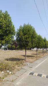Image of 1000 Sq.ft Residential Plot / Land for sale in Bhilai Marshalling Yard, Charoda for Rs. 1600000