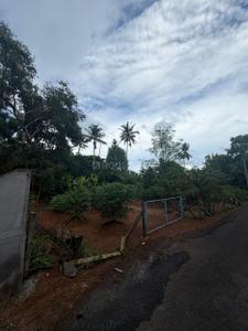 Image of 6097 Sq.ft Residential Plot / Land for sale in Chiyyaram, Thrissur for Rs. 13300000
