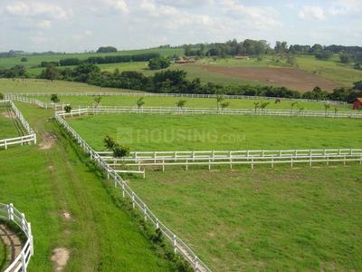 Image of 8101 Sq.ft Residential Plot / Land for sale in Neral, Thane for Rs. 8092899
