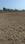 Punade Main Image 1