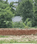 Ashapur Plot View 2