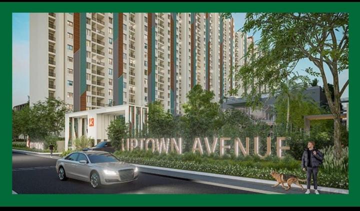 Uptown Avenue Main Image 1