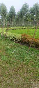 Image of 900 Sq.ft Residential Plot / Land for sale in Sahastradhara Road, Dehradun for Rs. 950000
