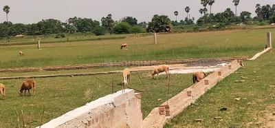 Image of 1200 Sq.ft Residential Plot / Land for sale in Maruf Ganj, Patna for Rs. 2000000