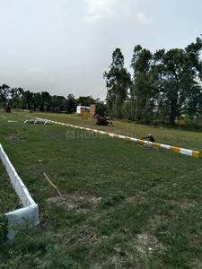 Image of 1000 Sq.ft Residential Plot / Land for sale in Palhari, Barabanki for Rs. 800000