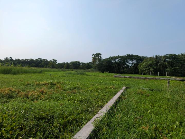 Sonargaon 2 Main Image 1