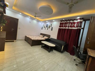 Hall Image of 541 Sq.ft 1 RK Builder Floor for rent in Saket New Delhi for Rs. 9800