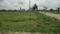 Boraj Main Image 1