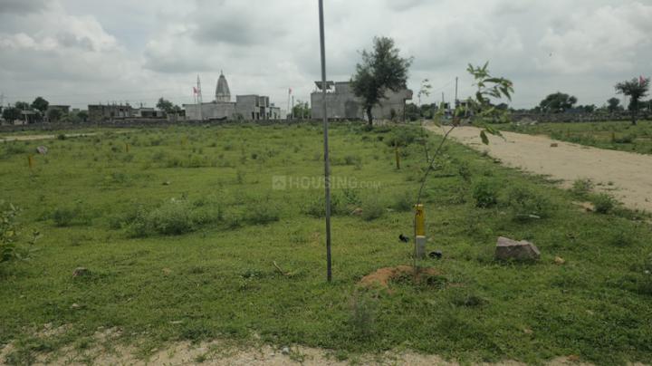 Boraj Main Image 1