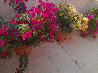 Balcony Image of 4500 Sq.ft 4 BHK Villa for sale in Malavli Lonavala for Rs. 19700000