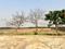 Punjab Empires Gulmohar Valley Plot View 2