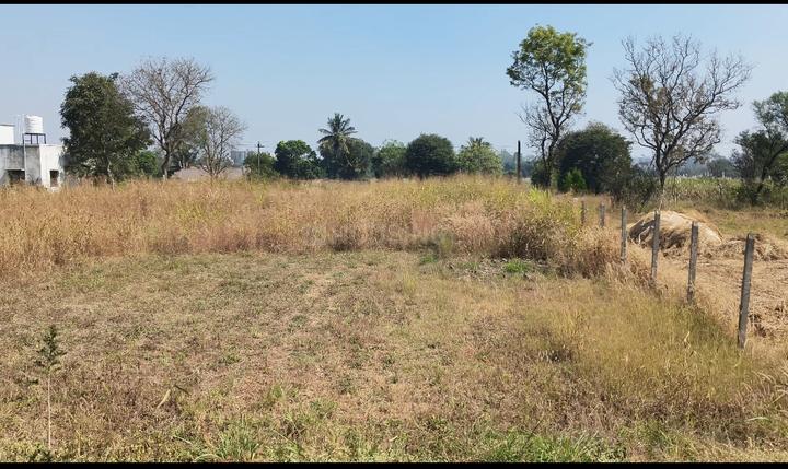 Near Kit collage Main Image 1