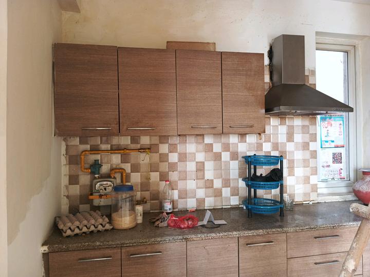 Tulip Violet Main Image 1