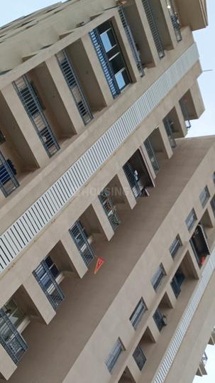 palm elegance Main Image 1