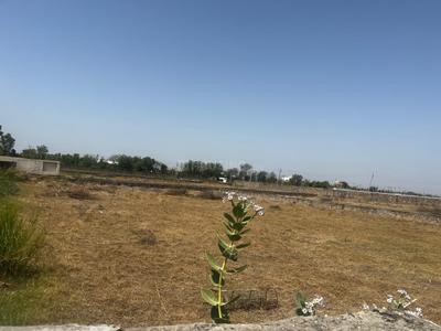 Image of 1012 Sq.ft Residential Plot / Land for sale in Lakshmanpura, Ahmedabad for Rs. 12650000