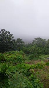 Image of 4000 Sq.ft Residential Plot / Land for sale in Mandangad, Dapoli for Rs. 1600000