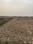 jui Plot View 2