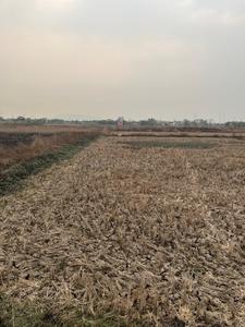 jui Plot View 2