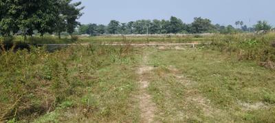 Image of 1760 Sq.ft Residential Plot / Land for sale in Marwan, Muzaffarpur for Rs. 3500000