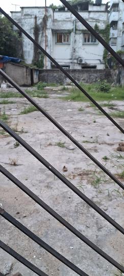 New Alipore Main Image 1