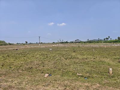 Residential Plot