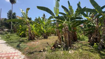 Image of 4555 Sq.ft Residential Plot / Land for sale in Kakkanad, Kochi for Rs. 15500000