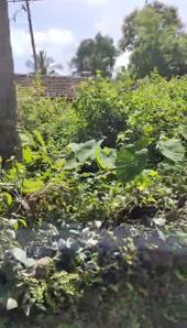 Image of 2300 Sq.ft Residential Plot / Land for sale in Pilerne, Goa for Rs. 130800000