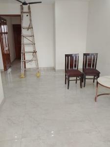 Hall Image of 850 Sq.ft 2 BHK Builder Floor for rent in Sector 63 A Noida for Rs. 23000