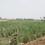 Ashapur Village Plot View 2