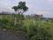 Kuber park kesand Plot View 2