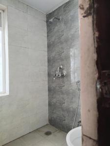 Common Bathroom Image of 1045 Sq.ft 3 BHK Apartment / Flat for sale in Amrapali Dream Valley 2, Noida Extension Greater Noida for Rs. 7430000