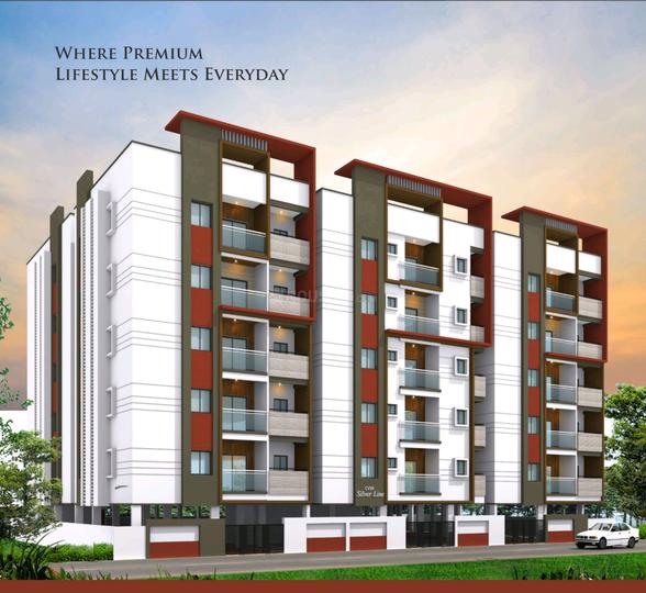 CVSR Silver Line Main Image 1