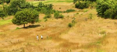 Image of 1000 Sq.ft Residential Plot / Land for sale in Bhor, Pune for Rs. 172000