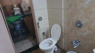 Today Paradise Bathroom Two 4