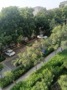 Balcony Image of 1300 Sq.ft 2 BHK Apartment / Flat for sale in Ireo Skyon, Sector 60 Gurgaon for Rs. 28500000