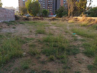 Shela Plot View 3