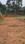 Kakkanad Main Image 1