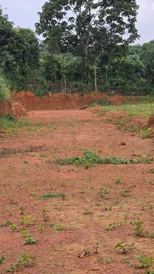 Kakkanad Main Image 1