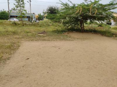 Annur Plot View 3