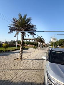 Image of 2250 Sq.ft Residential Plot / Land for sale in Sangowal, Ludhiana for Rs. 7500000