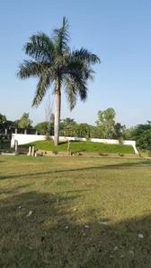 Image of 8611 Sq.ft Residential Plot / Land for sale in Narayanpur, Jabalpur for Rs. 9000000